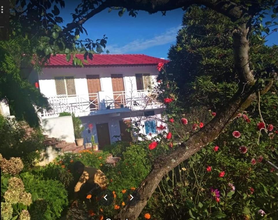 Ramneek Homestay Joshīmath 外观 照片